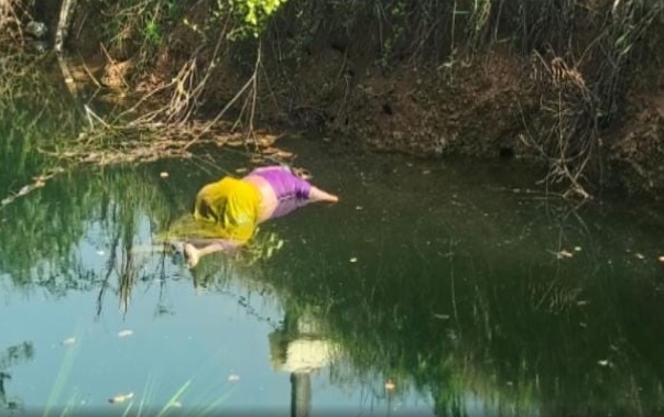 News Image 2