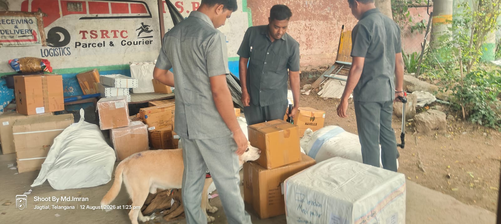 News Image 2