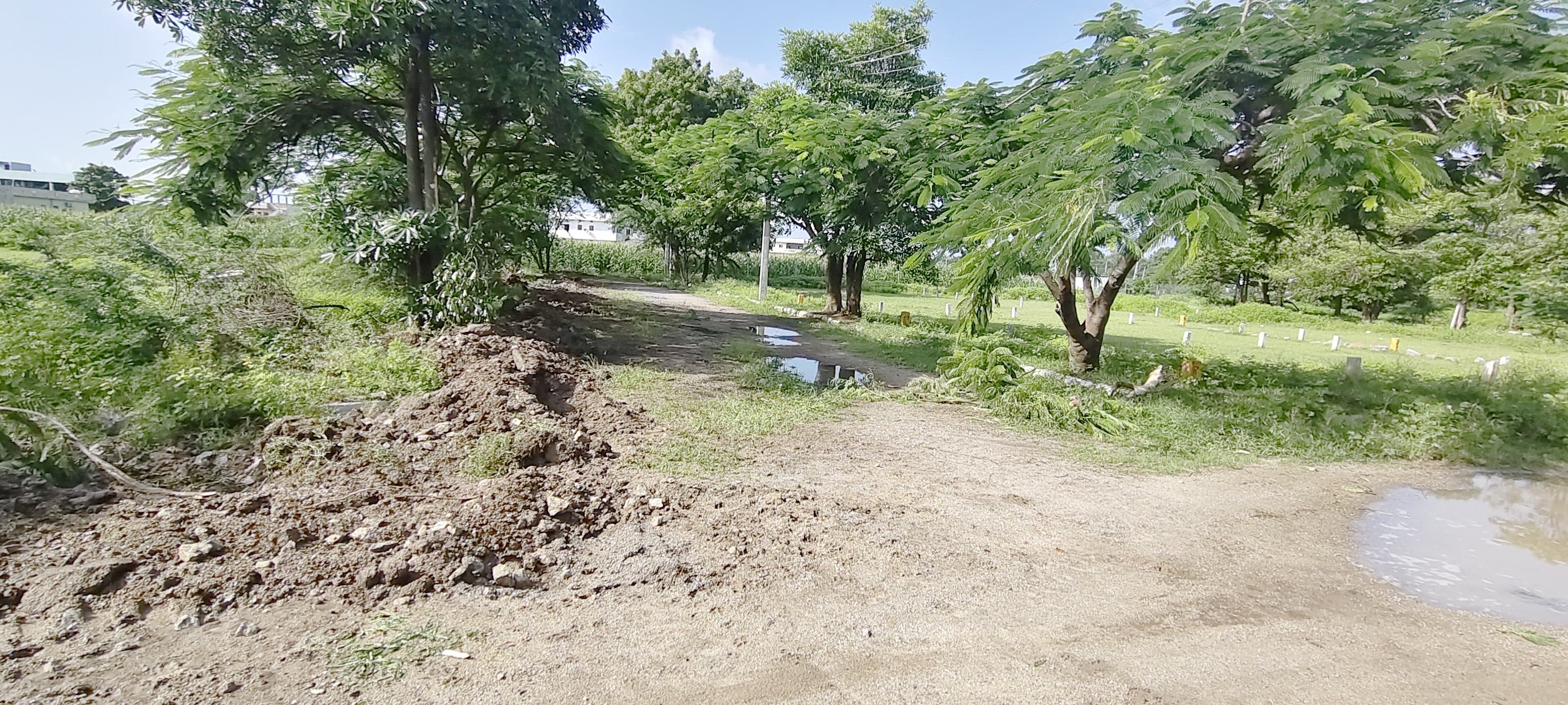 News Image 2